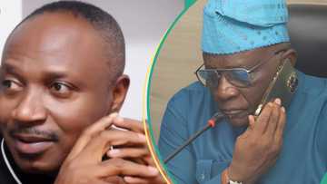 Atiku’s Aide, Tinubu's spokesman trade words over "grammatical errors"