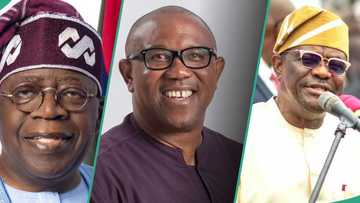 List of most Influential Nigerian politicians in 2025