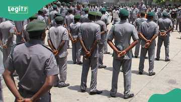 Nigeria’s customs takes action as cars stolen from Canada lands in Lagos