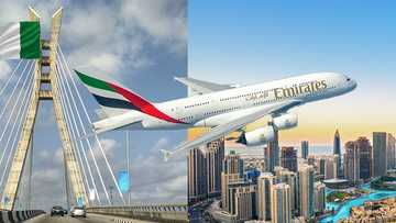 Excitement soars as Nigeria and UAE strengthen ties with flight resumptions