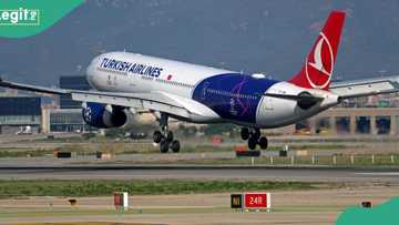 Nigerian staff caught in $600,000 ticket racketeering, Turkish Airlines alleges