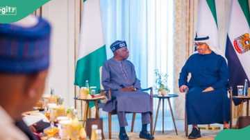 Da Dumi-Dumi: UAE Ta Musanta Cire Haramcin Ba Yan Najeriya Takardar Biza