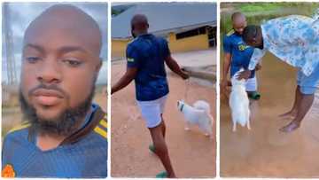 "She didn't give birth early": Nigerian man drags his dog to the river for deliverance, video goes viral