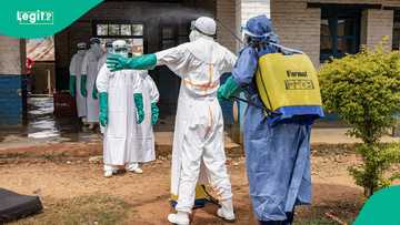 WHO declares Ebola outbreak a global health emergency as suspected deaths rise to 220