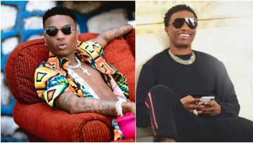 It looks like Aba made: Funny reactions as fan gifts Wizkid customized sneakers, singer appreciates in video