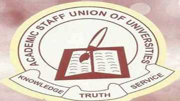 Mun gaji da yajin aiki, kuji tausayin ƴaƴan talakawa - ASUU ta roki gwamnatin tarayya