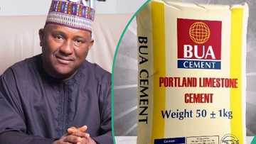 Cement prices set to fall as naira strengthens, BUA chairman predicts cost relief