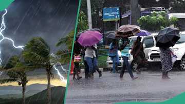 Weather alert: NiMet lists states in northern Nigeria predicted to experience thunderstorms, rain