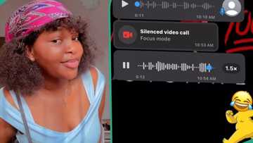 "I sent money to him through Opay": Lady shares unexpected voice notes she received from suya seller