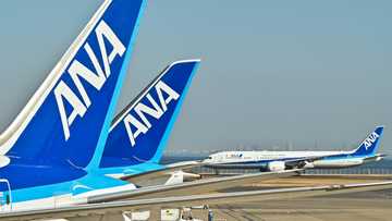 Japan's ANA to purchase mega-order of 77 new jets