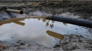 NNPC zata fadada bututun iskar gas daga Ajaokuta zuwa Kano zuwa kasar Aljeriya