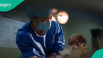 Texas Governor Greg Abbott orders crackdown on birth tourism: "US citizenship is not for sale"