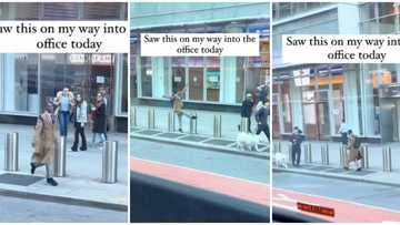 Well-dressed black man causes stir abroad on a busy road, dances for no reason, Oyinbos looked confused