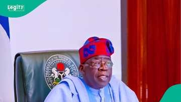 CNG: Minister unveils Tinubu's plan for fuel priced at N200 per litre