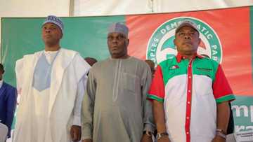 PDP chairmanship race: Northern caucus considers consensus option