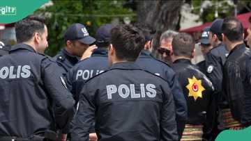 Several casualties recorded as gunman opens fire at high school before killing himself