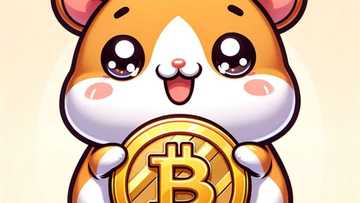 Does Bitcoin Boost Betting?: Sports Betting Revolution 2024