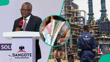 Aliko Dangote predicts massive surge in refinery shares from ₦525 to ₦10,000 ahead of IPO
