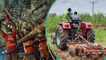 Top 6 sectors attracting billions of dollars in investments to Nigeria in 2026