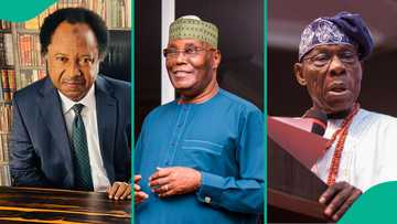 Shehu Sani mentions what may end Obasanjo-Atiku feud