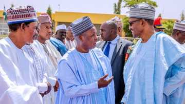 PDP ga Masari: Ka fito fili ka sanar da Buhari ya gaza, 'yan bindiga sun kwace jiharsa