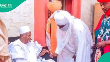 Dantata ya yi wa Aminu Ado Bayero wasiyya kan jana'izarsa, Sarki ya tafi Madina