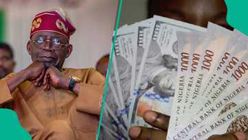 Nigeria’s debt grows by N4.72 trillion amid naira depreciation