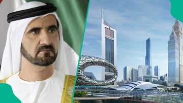 Dubai announces discount for residents bringing visitors, reason emerges
