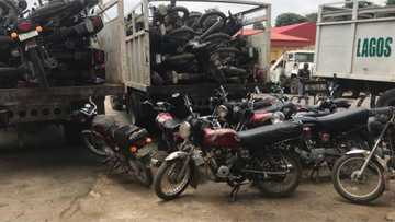 Okada ban: Lagos govt shows no mercy, set to crush another 2,228 motorcycles