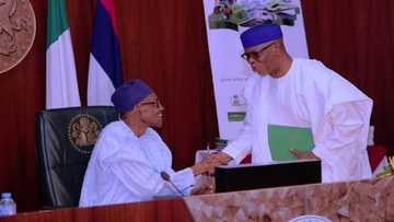 President Buhari makes 5 crucial appointments in education, names Oyegun, Tejuosho, others