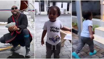Billionaire pikin: Davido hails his son Ifeanyi in trending video, little boy looks on, runs away in confusion