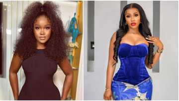 “It’s like I will reduce my age”: BBNaija’s CeeC says shortly after Mercy Eke’s real age leaked online