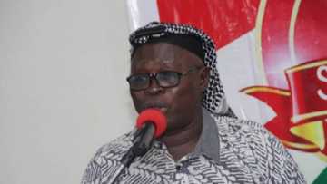 Why Kano deaths could be a plot to decimate Muslim population - MURIC