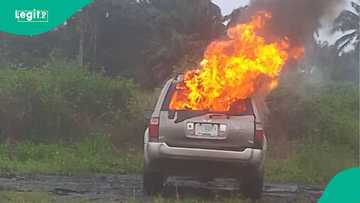 Breaking: Vehicle with over 1000 liters of illegal gas oil intercepted as Nigerian Army takes action