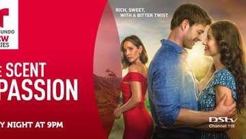 Love Conquers All in Telemundo's, The Scent of Passion