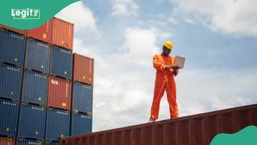 Again, CBN slashes exchange rate to clear goods at ports, airports from Monday