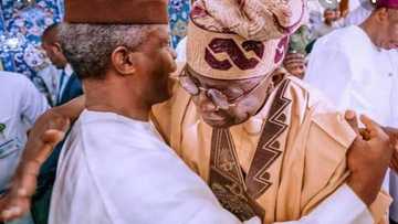 2023: Osinbajo on a collision course with Tinubu, pushing to succeed Buhari? Presidency reacts