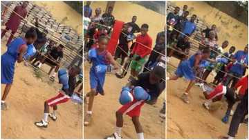 Young girl beats boy silly in boxing game, Nigerian man promises her N50k, videos stir mixed reactions online