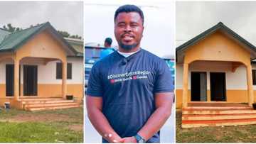 Booklover uses his own money to build an impressive Library for Villagers, Cute Structure Attracts Attention
