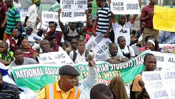 Gwamnatin Tinubu Za Ta Yi Rigimar Farko da Malaman Jami’a da ASUU a Kan Kudi