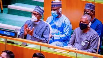 Please, cancel our debts: Buhari calls for cancellation at UN general assembly