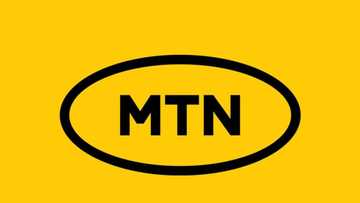 Who is the owner of MTN network company? Be in the know