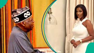 Hilda Baci: Tinubu's govt reacts to celebrity chef's mega jollof record bid