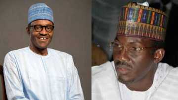 Babban dan siyasan arewa ya yi hasashen wanda zai lashe zaben Shugaban kasa a 2023