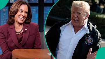 US election: Nearly 25 million votes cast as Trump, Harris hit battleground states, details surface