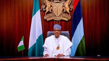 Just in: President Buhari reveals those who contributed to the release of Kaduna forestry students