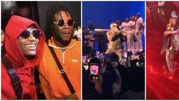 Video captures exciting moment Wizkid crashed Burnaboy’s Hollywood Bowl concert