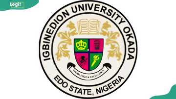 Igbinedion University courses, admission requirements and application procedure