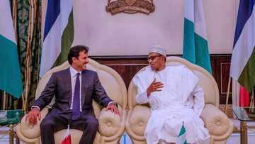 Yanzu Yanzu: Shugaba Buhari na ganawar sirri mai muhimmanci da Sarkin Qatar a garin Abuja