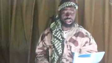 Maulidi: Sheƙau ya aikowa da masu murnar zagayowar ranar haihuwa annabi sako